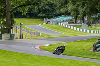 Middle Group Black Bikes